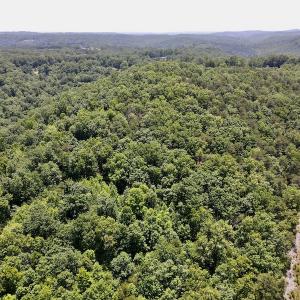 Photo #8 of SOLD property in Off Daniels Creek Rd, Collinsville, VA 104.4 acres