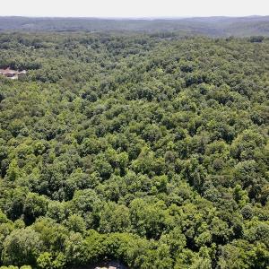 Photo #9 of SOLD property in Off Daniels Creek Rd, Collinsville, VA 104.4 acres