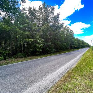 Photo #23 of SOLD property in 2200 Country Road , Beaverdam, VA 11.9 acres