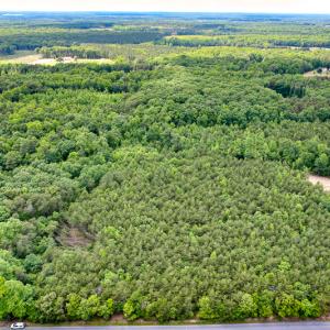 Photo #26 of SOLD property in 2200 Country Road , Beaverdam, VA 11.9 acres