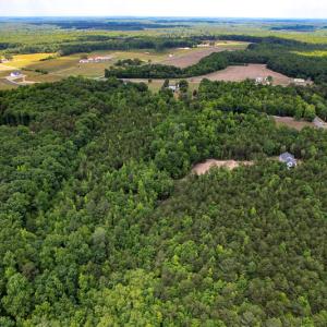 Photo #30 of SOLD property in 2200 Country Road , Beaverdam, VA 11.9 acres