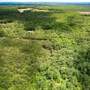 Photo #31 of SOLD property in 2200 Country Road , Beaverdam, VA 11.9 acres