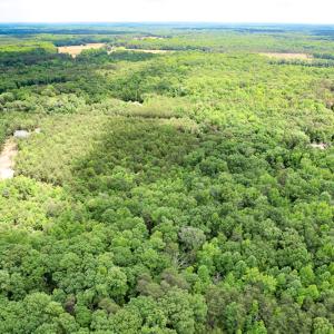 Photo #32 of SOLD property in 2200 Country Road , Beaverdam, VA 11.9 acres