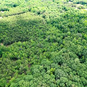 Photo #33 of SOLD property in 2200 Country Road , Beaverdam, VA 11.9 acres