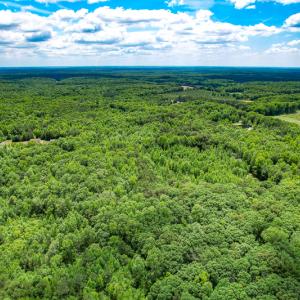 Photo #34 of SOLD property in 2200 Country Road , Beaverdam, VA 11.9 acres