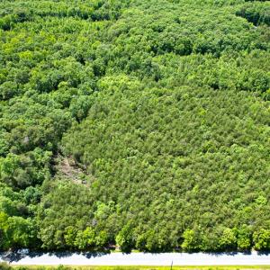 Photo #38 of SOLD property in 2200 Country Road , Beaverdam, VA 11.9 acres
