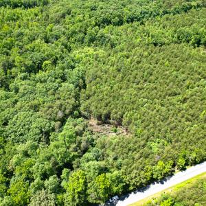 Photo #39 of SOLD property in 2200 Country Road , Beaverdam, VA 11.9 acres