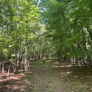 Photo #27 of SOLD property in Off Daniels Creek Rd, Collinsville, VA 104.4 acres