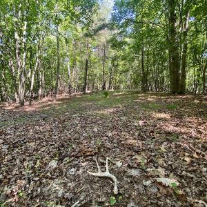 Photo #28 of SOLD property in Off Daniels Creek Rd, Collinsville, VA 104.4 acres