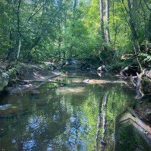 Photo #29 of SOLD property in Off Daniels Creek Rd, Collinsville, VA 104.4 acres