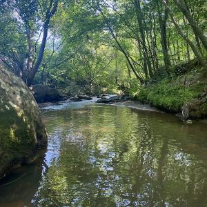 Photo #30 of SOLD property in Off Daniels Creek Rd, Collinsville, VA 104.4 acres