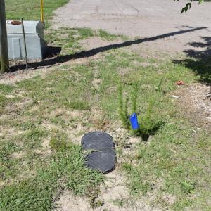 Photo #13 of 264 Pearson Circle, Newport, NC 0.4 acres