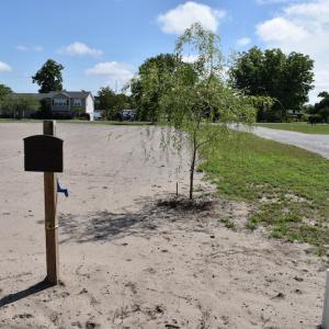 Photo #16 of 264 Pearson Circle, Newport, NC 0.4 acres