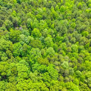 Photo #53 of SOLD property in 6115 Schley Road, Hillsborough, NC 42.4 acres