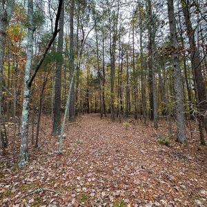 Photo #58 of SOLD property in 6115 Schley Road, Hillsborough, NC 42.4 acres