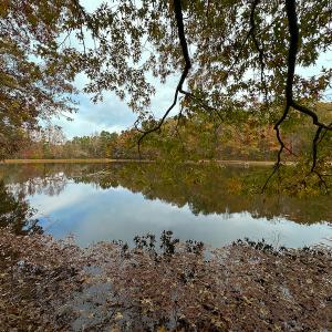 Photo #61 of SOLD property in 6115 Schley Road, Hillsborough, NC 42.4 acres