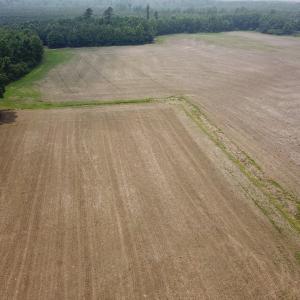 Photo #2 of SOLD property in 3085 Carolina Rd , Suffolk, VA 10.0 acres