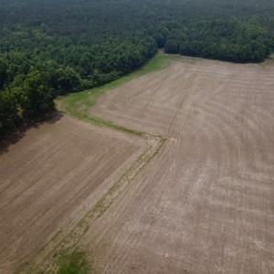 Photo #4 of SOLD property in 3085 Carolina Rd , Suffolk, VA 10.0 acres
