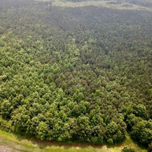 Photo #5 of SOLD property in 3085 Carolina Rd , Suffolk, VA 10.0 acres