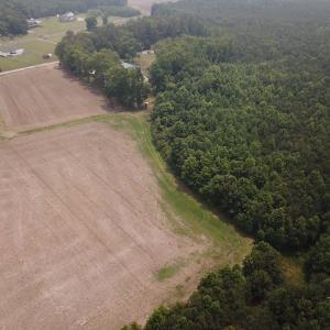 Photo #7 of SOLD property in 3085 Carolina Rd , Suffolk, VA 10.0 acres