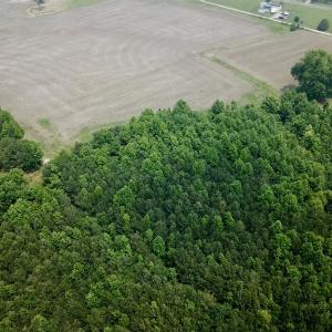 Photo #8 of SOLD property in 3085 Carolina Rd , Suffolk, VA 10.0 acres