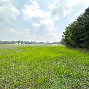 Photo #9 of SOLD property in 3085 Carolina Rd , Suffolk, VA 10.0 acres