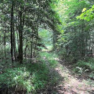 Photo #11 of SOLD property in 3085 Carolina Rd , Suffolk, VA 10.0 acres