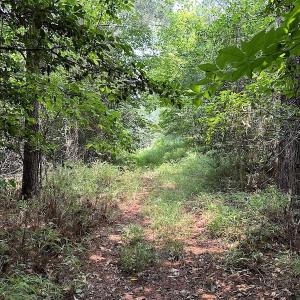 Photo #12 of SOLD property in 3085 Carolina Rd , Suffolk, VA 10.0 acres
