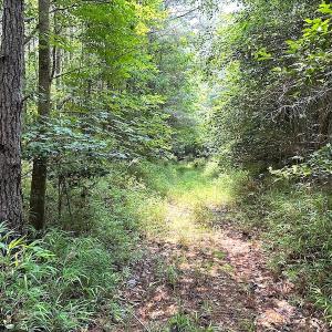 Photo #13 of SOLD property in 3085 Carolina Rd , Suffolk, VA 10.0 acres
