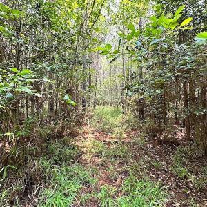 Photo #15 of SOLD property in 3085 Carolina Rd , Suffolk, VA 10.0 acres