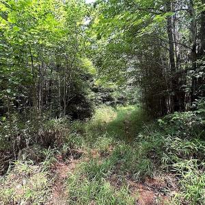 Photo #16 of SOLD property in 3085 Carolina Rd , Suffolk, VA 10.0 acres