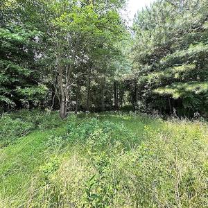 Photo #17 of SOLD property in 3085 Carolina Rd , Suffolk, VA 10.0 acres