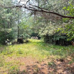 Photo #18 of SOLD property in 3085 Carolina Rd , Suffolk, VA 10.0 acres