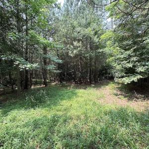 Photo #19 of SOLD property in 3085 Carolina Rd , Suffolk, VA 10.0 acres
