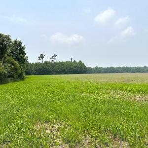 Photo #20 of SOLD property in 3085 Carolina Rd , Suffolk, VA 10.0 acres