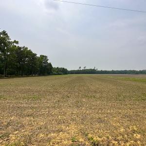 Photo #23 of SOLD property in 3085 Carolina Rd , Suffolk, VA 10.0 acres