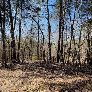 Photo #2 of SOLD property in Off Price Hairston Lane, Martinsville, VA 19.4 acres