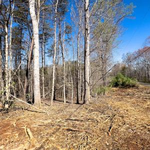 Photo #9 of SOLD property in Off Price Hairston Lane, Martinsville, VA 19.4 acres