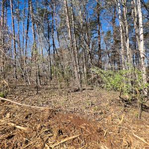 Photo #10 of SOLD property in Off Price Hairston Lane, Martinsville, VA 19.4 acres