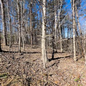 Photo #11 of SOLD property in Off Price Hairston Lane, Martinsville, VA 19.4 acres