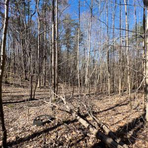 Photo #13 of SOLD property in Off Price Hairston Lane, Martinsville, VA 19.4 acres