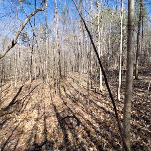 Photo #15 of SOLD property in Off Price Hairston Lane, Martinsville, VA 19.4 acres