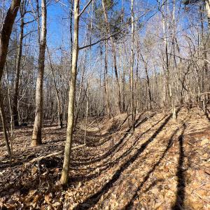 Photo #16 of SOLD property in Off Price Hairston Lane, Martinsville, VA 19.4 acres