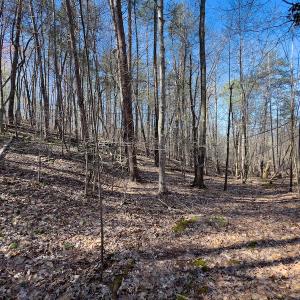 Photo #17 of SOLD property in Off Price Hairston Lane, Martinsville, VA 19.4 acres