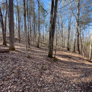 Photo #18 of SOLD property in Off Price Hairston Lane, Martinsville, VA 19.4 acres