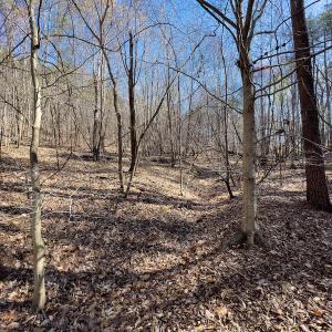 Photo #19 of SOLD property in Off Price Hairston Lane, Martinsville, VA 19.4 acres