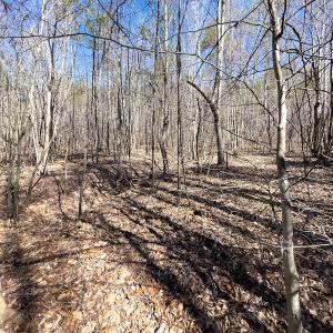Photo #20 of SOLD property in Off Price Hairston Lane, Martinsville, VA 19.4 acres