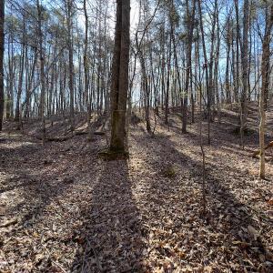 Photo #21 of SOLD property in Off Price Hairston Lane, Martinsville, VA 19.4 acres