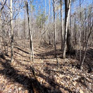 Photo #22 of SOLD property in Off Price Hairston Lane, Martinsville, VA 19.4 acres