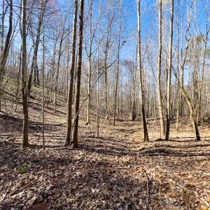 Photo #23 of SOLD property in Off Price Hairston Lane, Martinsville, VA 19.4 acres